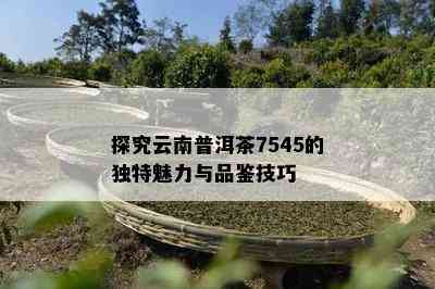 探究云南普洱茶7545的独特魅力与品鉴技巧