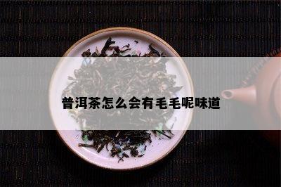 普洱茶怎么会有毛毛呢味道