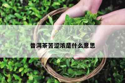 普洱茶苦涩浓是什么意思