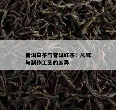 普洱白茶与普洱红茶：风味与制作工艺的差异