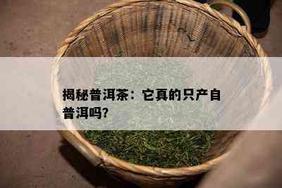 揭秘普洱茶：它真的只产自普洱吗？