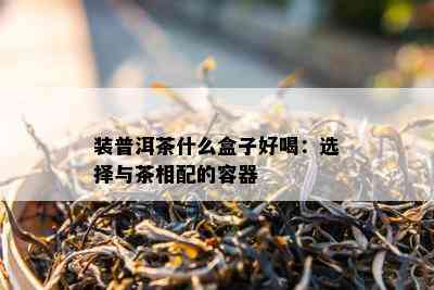 装普洱茶什么盒子好喝：选择与茶相配的容器