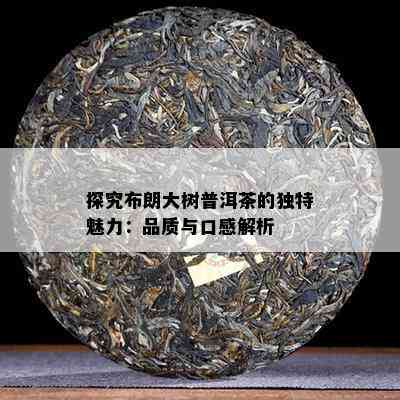 探究布朗大树普洱茶的独特魅力：品质与口感解析