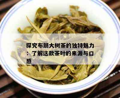 探究布朗大树茶的独特魅力：了解这款茶叶的来源与口感