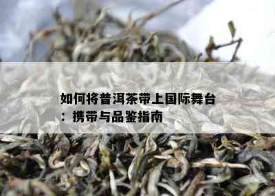 如何将普洱茶带上国际舞台：携带与品鉴指南