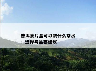 普洱茶片盒可以装什么茶水：选择与品尝建议