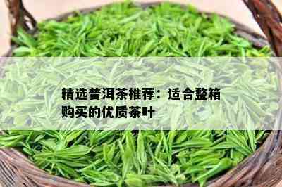 精选普洱茶推荐：适合整箱购买的优质茶叶