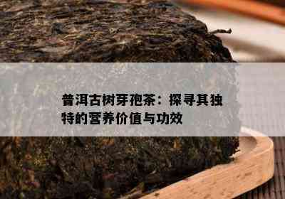 普洱古树芽孢茶：探寻其独特的营养价值与功效