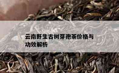 云南野生古树芽孢茶价格与功效解析