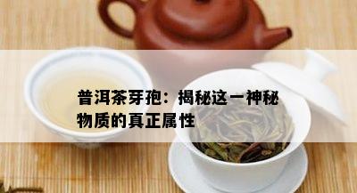 普洱茶芽孢：揭秘这一神秘物质的真正属性