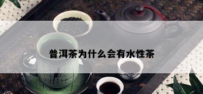 普洱茶为什么会有水性茶