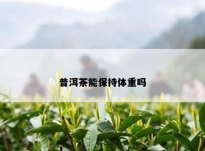 普洱茶能保持体重吗