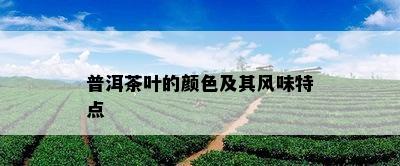 普洱茶叶的颜色及其风味特点