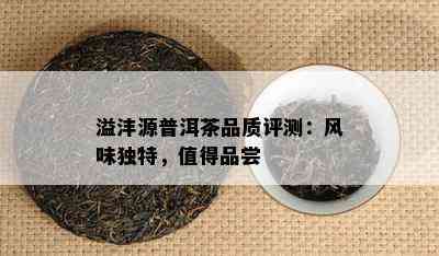 溢沣源普洱茶品质评测：风味独特，值得品尝