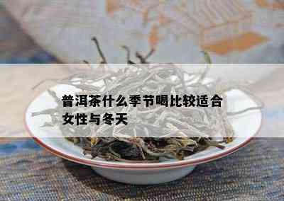 普洱茶什么季节喝比较适合女性与冬天