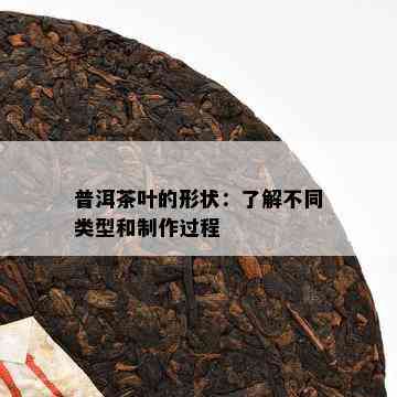 普洱茶叶的形状：了解不同类型和制作过程