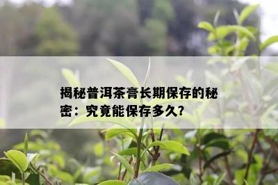 揭秘普洱茶膏长期保存的秘密：究竟能保存多久？