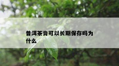 普洱茶膏可以长期保存吗为什么