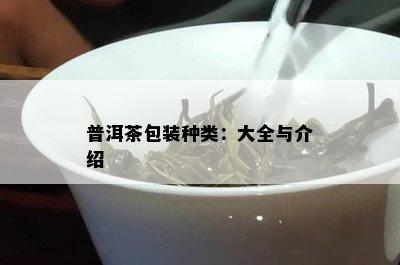 普洱茶包装种类：大全与介绍