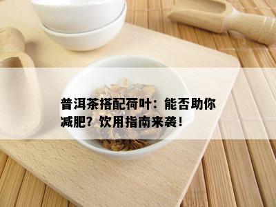 普洱茶搭配荷叶：能否助你减肥？饮用指南来袭！