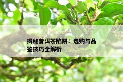 揭秘普洱茶陷阱：选购与品鉴技巧全解析