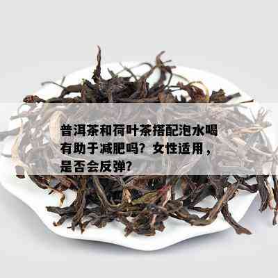 普洱茶和荷叶茶搭配泡水喝有助于减肥吗？女性适用，是否会反弹？