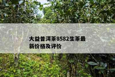 大益普洱茶8582生茶最新价格及评价