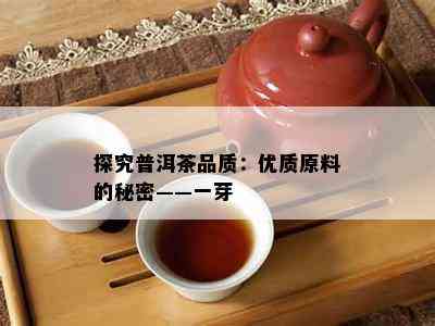 探究普洱茶品质：优质原料的秘密——一芽