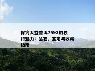 探究大益普洱7592的独特魅力：品尝、鉴定与收藏指南