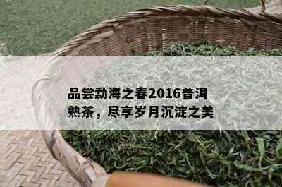 品尝勐海之春2016普洱熟茶，尽享岁月沉淀之美