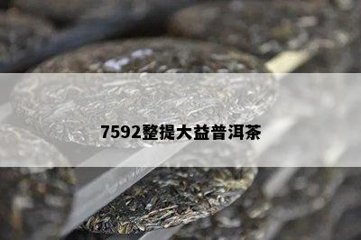 7592整提大益普洱茶