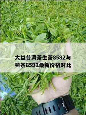 大益普洱茶生茶8582与熟茶8592最新价格对比