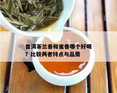 普洱茶兰香和蜜香哪个好喝？比较两者特点与品质