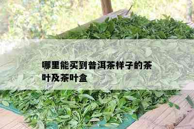 哪里能买到普洱茶样子的茶叶及茶叶盒