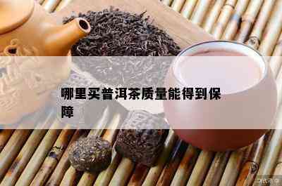 哪里买普洱茶质量能得到保障