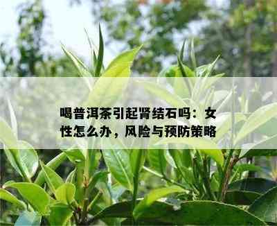 喝普洱茶引起肾结石吗：女性怎么办，风险与预防策略