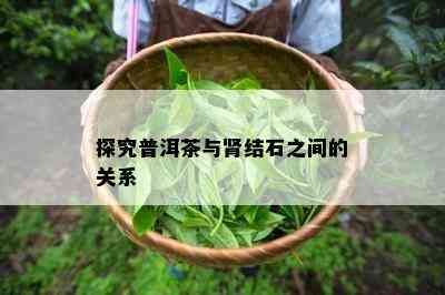 探究普洱茶与肾结石之间的关系