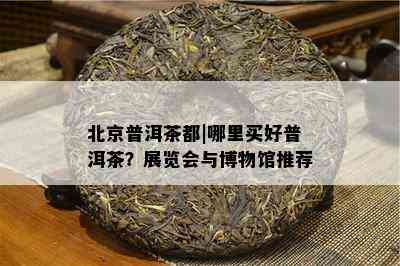 北京普洱茶都|哪里买好普洱茶？展览会与博物馆推荐