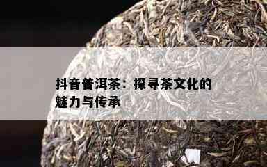 抖音普洱茶：探寻茶文化的魅力与传承