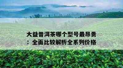 大益普洱茶哪个型号最昂贵：全面比较解析全系列价格