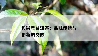 和兴号普洱茶：品味传统与创新的交融