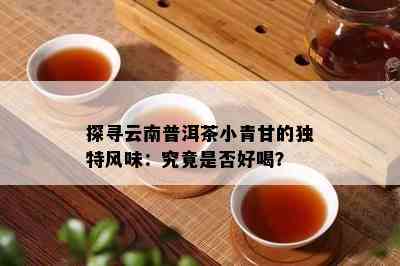 探寻云南普洱茶小青甘的独特风味：究竟是否好喝？