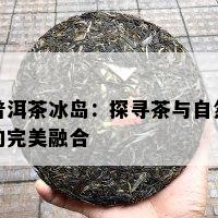 普洱茶冰岛：探寻茶与自然的完美融合