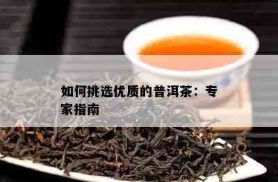 如何挑选优质的普洱茶：专家指南