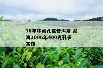 16年珍藏孔雀普洱茶 勐海2006年400克孔雀茶饼