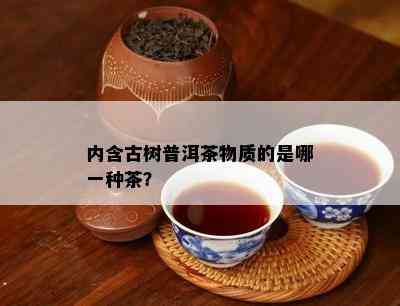 内含古树普洱茶物质的是哪一种茶？