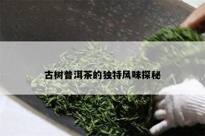 古树普洱茶的独特风味探秘