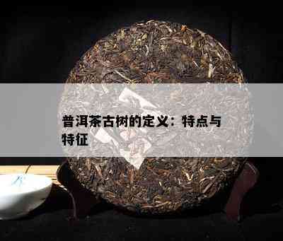 普洱茶古树的定义：特点与特征