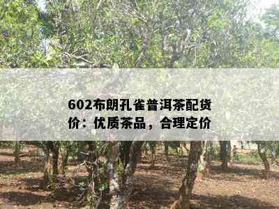 602布朗孔雀普洱茶配货价：优质茶品，合理定价