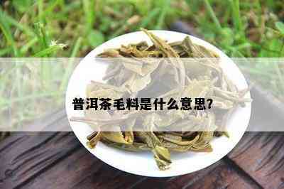 普洱茶毛料是什么意思？